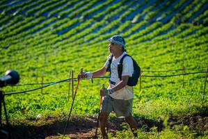 BIB: 
                            <button type="button" onclick="openModal(19160256)" class="btn btn-primary btn-sm float-right btn-popup" data-toggle="modal" data-target=".modal-high-quality">
                        <i class="fas fa-shopping-cart"></i> Add to Cart
                    </button>
                                            <button type="button" onclick="isThisMe(19160256, true)" class="btn btn-success btn-sm float-right btn-popup btn-isme hidden" data-toggle="tooltip" data-placement="bottom" title="นี่คือรูปของคุณใช่ไหม คลิกที่นี่เพื่อเอาเข้าอัลบั้ม">
                        <i class="fas fa-plus"></i> Add to album
                    </button>
                    <button type="button" onclick="isThisMe(19160256, false)" class="btn btn-warning btn-sm float-right btn-popup btn-isnotme hidden">
                        <i class="fas fa-ban"></i> Remove from album
                    </button>